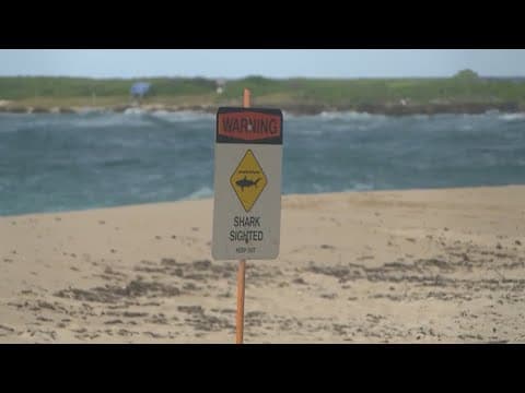 Lifeguard and actor Tamayo Perry dies from shark attack in Hawaii