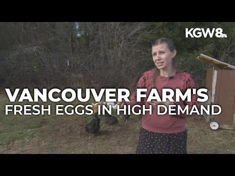 Fresh eggs sell out fast at Vancouver farm amid price hike