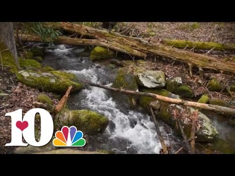 Nature Sounds: Twin Creeks Trail in Great Smoky Mountains