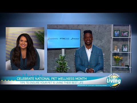 Celebrate National Pet Wellness Month | Tips to Unleash Your Pet’s Full Potential & Manage Veterinar