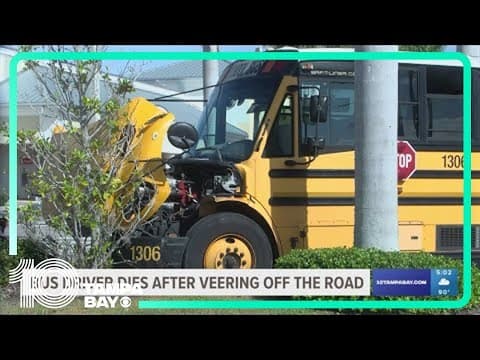 School bus driver crashes into cars in Publix parking lot, dies after 'medical event'