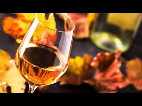 Your guide to the perfect autumn wines