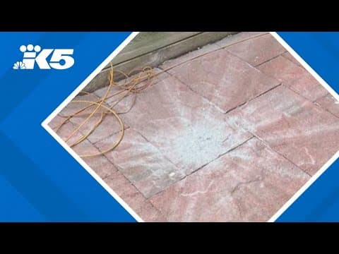 Meteorite crashes near Prince Edward Island home