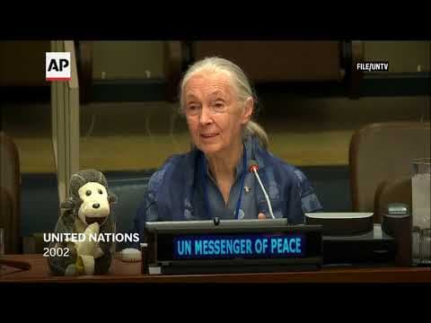 Jane Goodall, conservationist renowned for chimpanzee research and environmental advocacy, has died