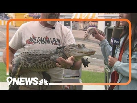 Things to do at the 2024 Greeley Stampede