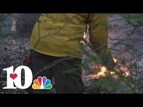 Some state crews stepping in to fight wildfires across East Tennessee