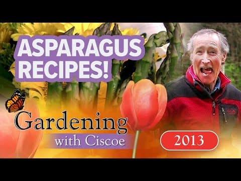 YUM! 3 FRESH Asparagus Recipes! | Gardening With Ciscoe | Full Episode