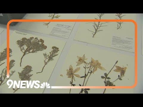 100,000 collections tell the botanical and mycological story of Colorado