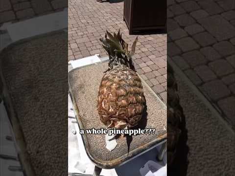 Pineapple, BBQ sauce + more weird stuff found after ski resort snow melts