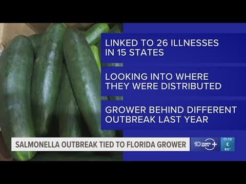 New salmonella outbreak tied to same Florida grower with tainted cucumbers last year