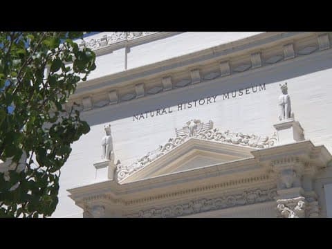 Natural History Museum working to conserve and protect health of San Diego's future