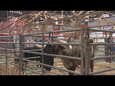 Houston police issue scam warning for fake rodeo tickets