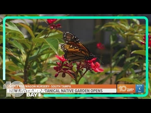 New butterfly botanical native garden opens