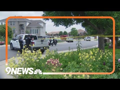 Man killed in-laws before being fatally shot by deputies, sheriff's office says