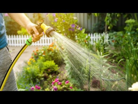 Delaware County residents being asked to reduce outdoor water usage