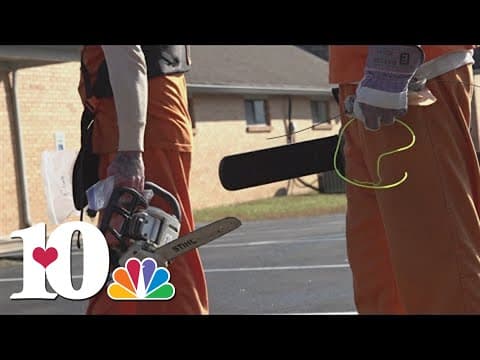 ACSO partners with Norwood Elementary to clean up outdoor areas