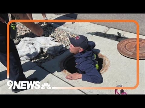 3 kids, 2 dogs safe after underground drain rescue in Colorado