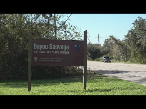 Human remains found in Bayou Sauvage in Louisiana, NOPD says