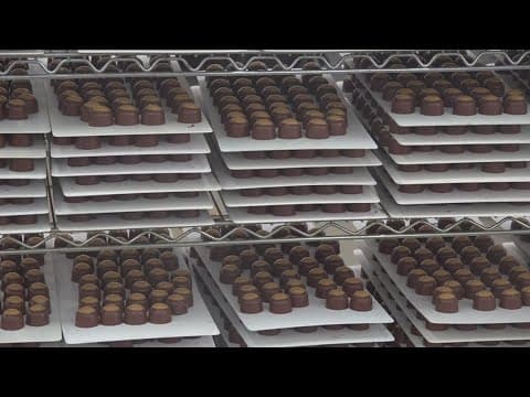 A quest to find the best Buckeye