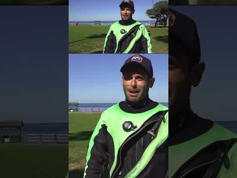 Diver shares stories from Galapagos trip, including pregnant whale shark encounter. #ocean #sea