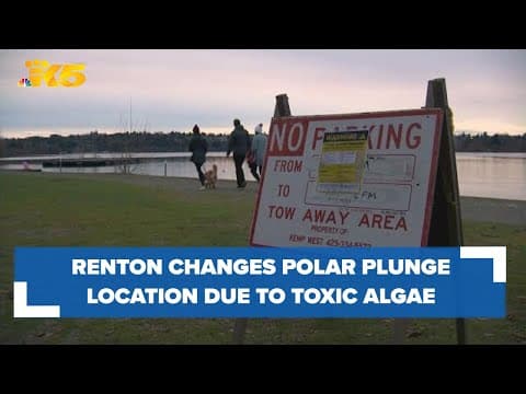 Renton changes polar plunge location due to toxic algae concerns