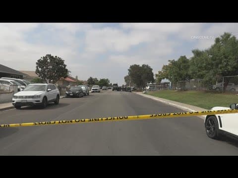 Police: Woman breaking things in San Ysidro home prompts SWAT standoff