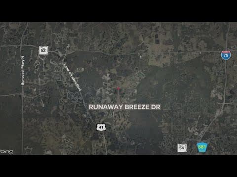 Adult, child hospitalized in serious condition after rescued from house fire in Pasco County