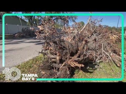 Sarasota County hiring more contractors to speed up storm debris collection