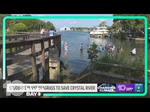 5th graders plant seagrass to save Crystal River