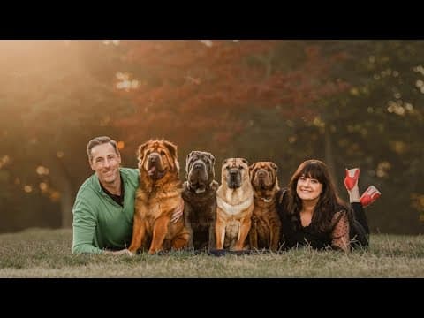 How to ask for pet bereavement at work