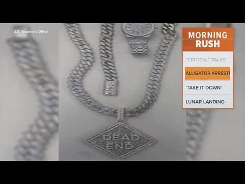 Police recover guns, jewelry, and an alligator in gang-related bust