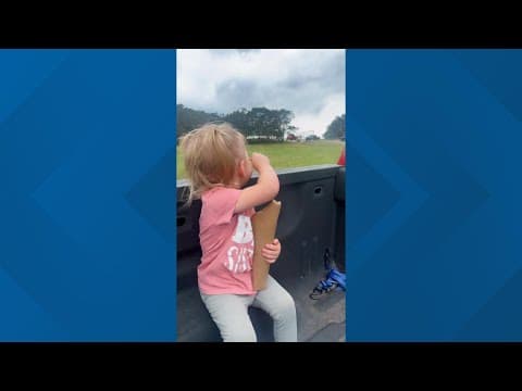 Video goes viral of giraffe lifting Texas toddler mid-air at drive through safari