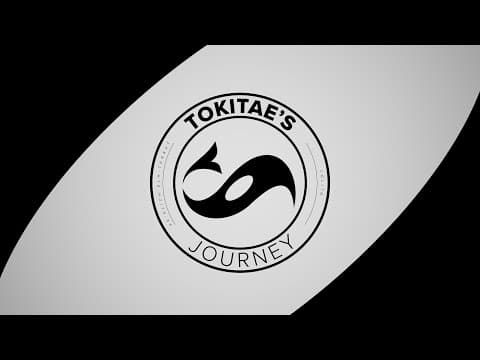 Tokitae's Journey