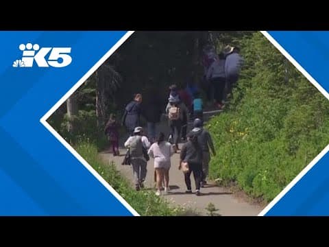 Layoffs in National Parks and Forest Service raise safety concerns for hikers, climbers