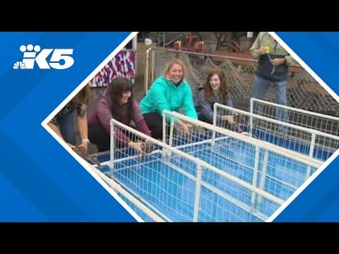 Nationally recognized duck racers to be competing at The Evergreen State Fair