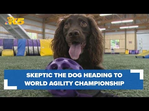 Centralia dog, handler heading to world agility championship
