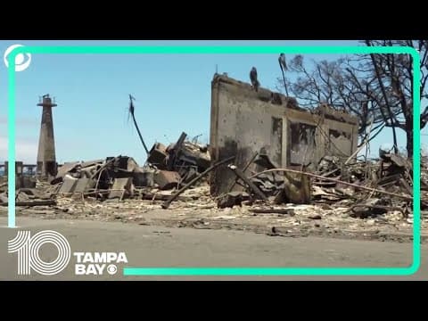 FEMA and state officials tour wildfire damage in Hawaii