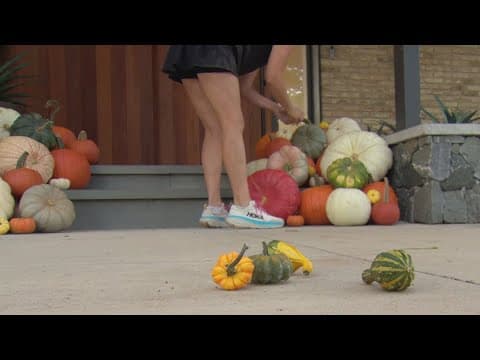 Dallas mother turns pumpkin porch decorating into a business