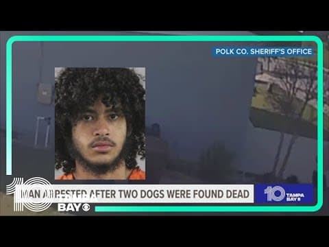 Haines City man stabbed two dogs more than 20 times before throwing them in a pond