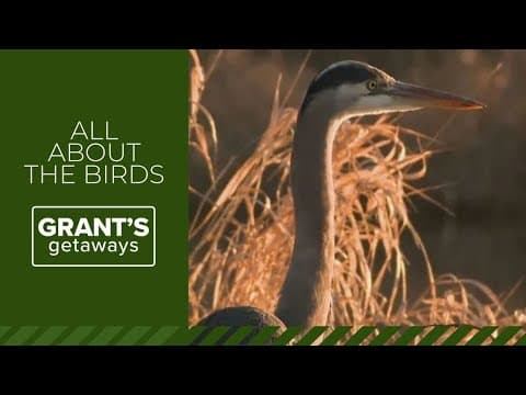 Find a birder's paradise at Ankeny National Wildlife Refuge