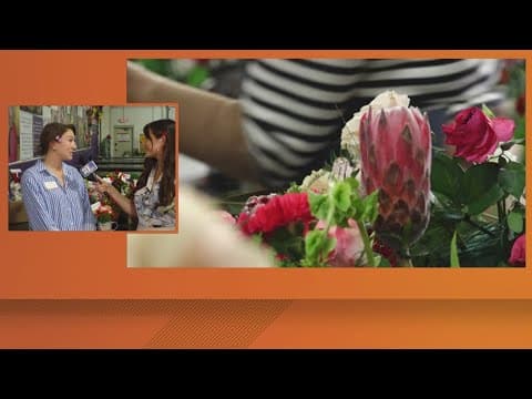 Knox County seniors receive warm meals, beautiful flowers during 'Nourish the Soul' week