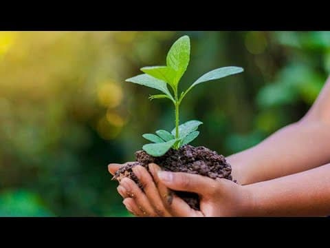 World Environment Day event this Sunday in Bethesda