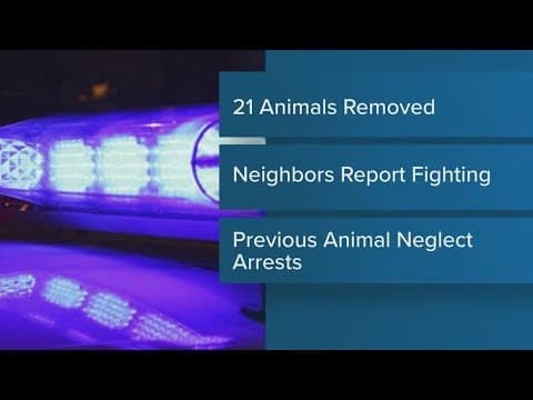 Muncie woman arrested for allegedly neglecting 21 animals, taking part in 'dogfighting ring'