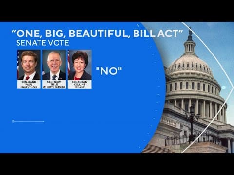 Why 3 Republicans voted against President Trump's "Big" bill?
