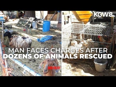 Man faces 45 counts of animal cruelty after dozens of animals rescued from property