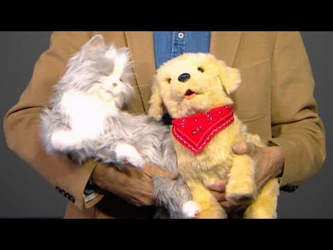 Three nonprofits help ease loneliness in DC's older adult population with robotic pets