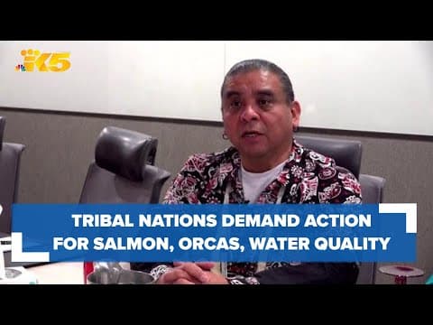 Tribal nations join together to demand action for salmon, orcas and water quality