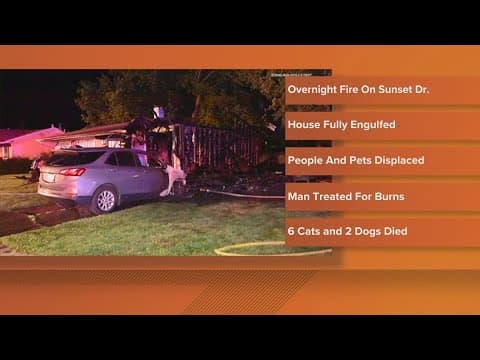 6 cats and 2 dogs killed in Edinburgh house fire