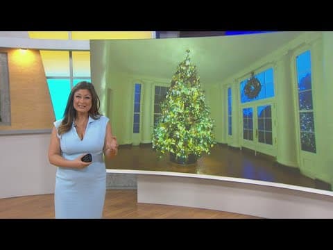 Working for Our Planet | Decorate for the holidays DIY style