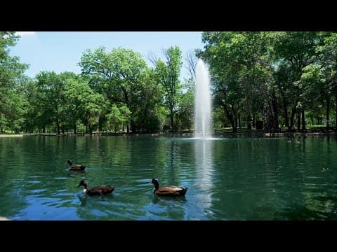 Texas Time Out | Trinity Park